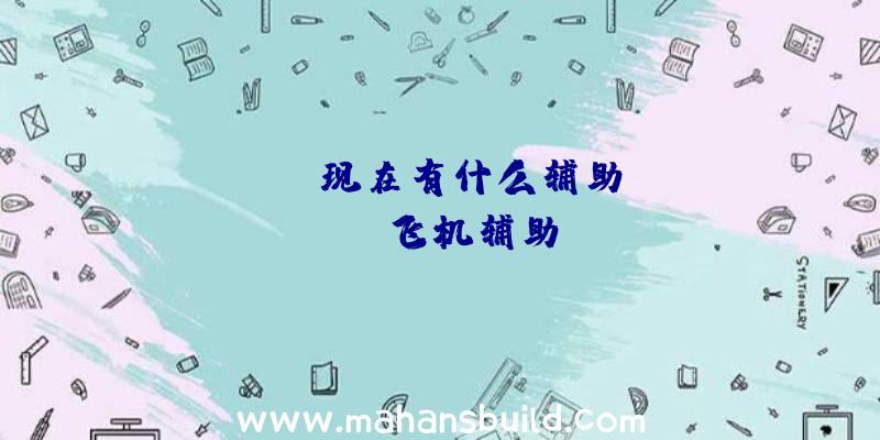 「rust现在有什么辅助」|rust飞机辅助